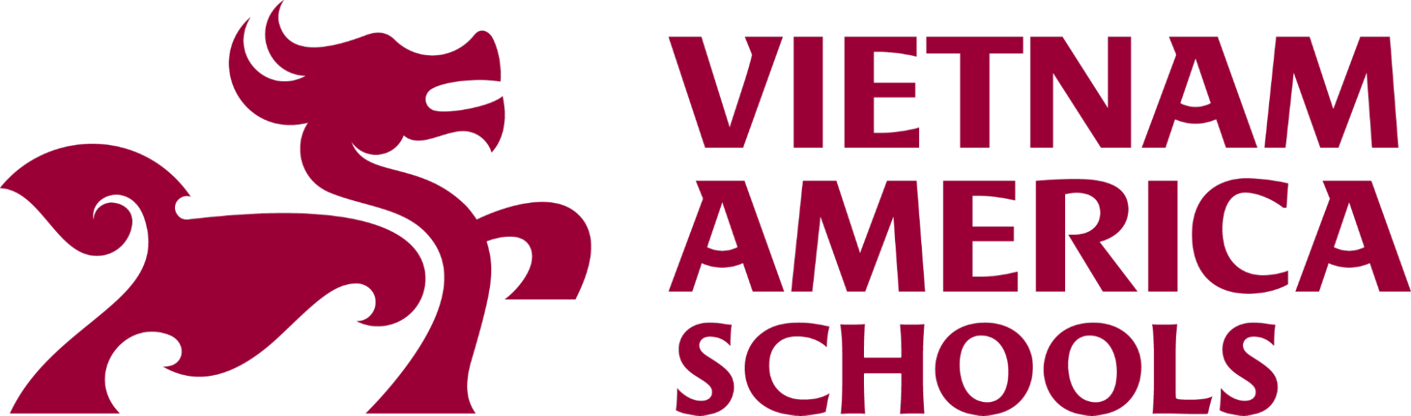 Vietnam America Schools